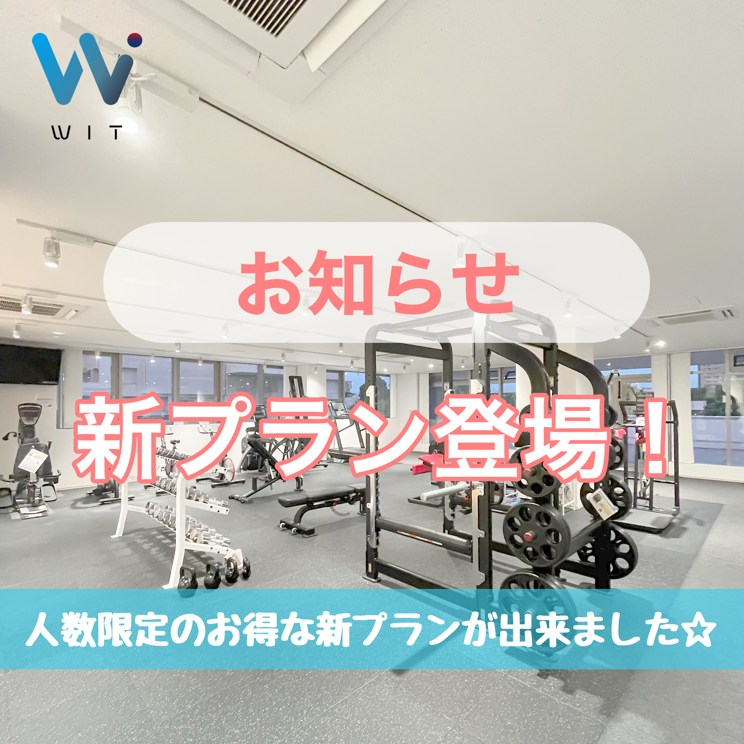 お得な新プランが登場！